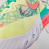 Lebron 18 Low LeBronold Palmer CV7564-300 16